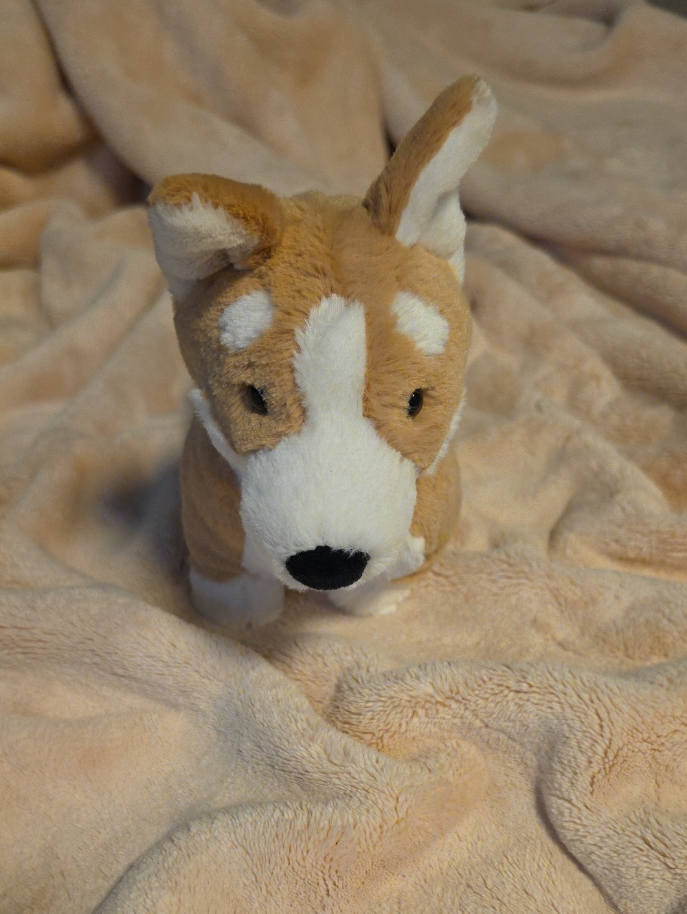 Jellycat Betty Corgi